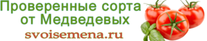 Медведев