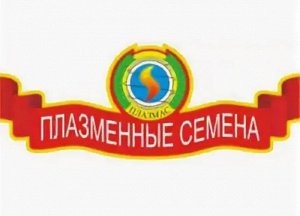 Плазмас