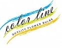 Color Line