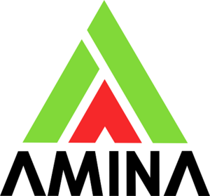 Амина