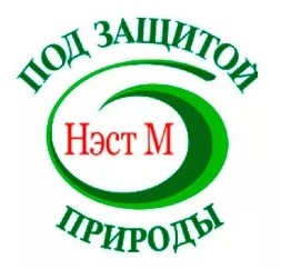 Нэст М